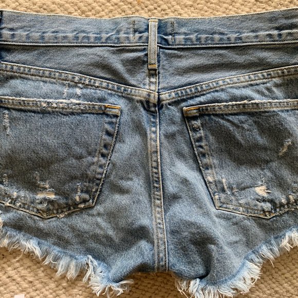 Agolde Vintage Parker Shorts